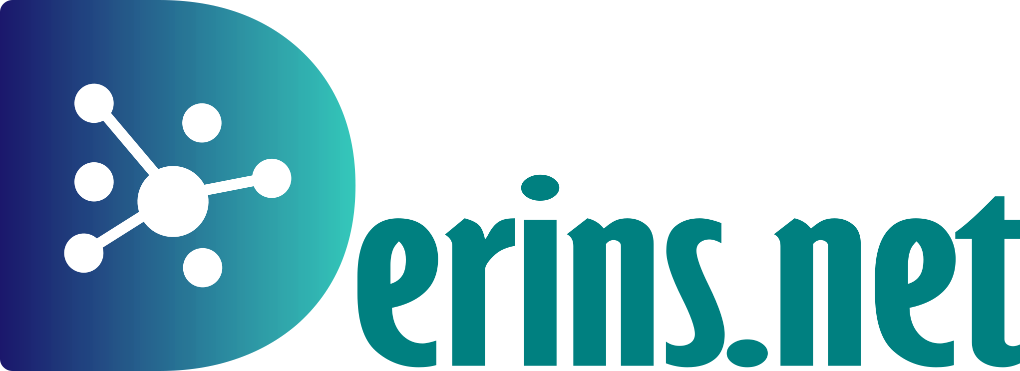 Derins.net
